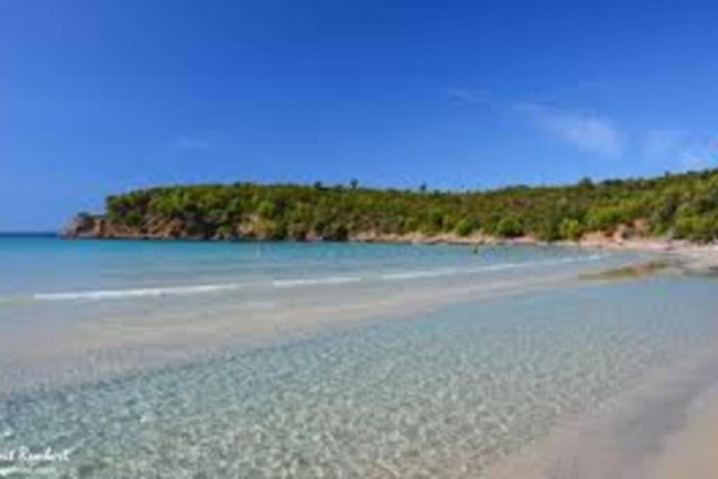 Studio Climatise Proche Port Et Plages Ла-Лонд-ле-Мор Экстерьер фото